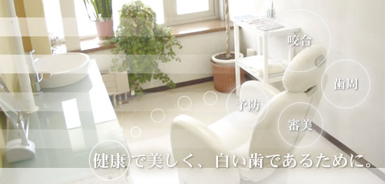 ̌Nl鍲vԎȈ@@Dy@]ʁ@